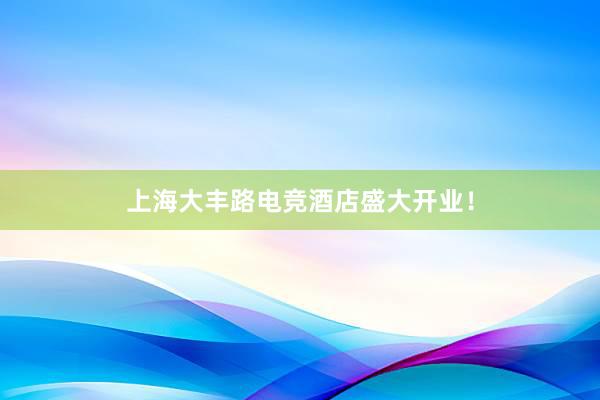 上海大丰路电竞酒店盛大开业！